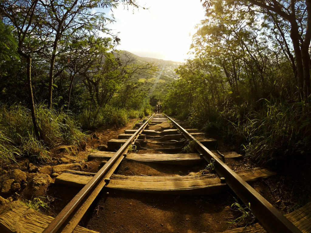 Hawaii trail rail